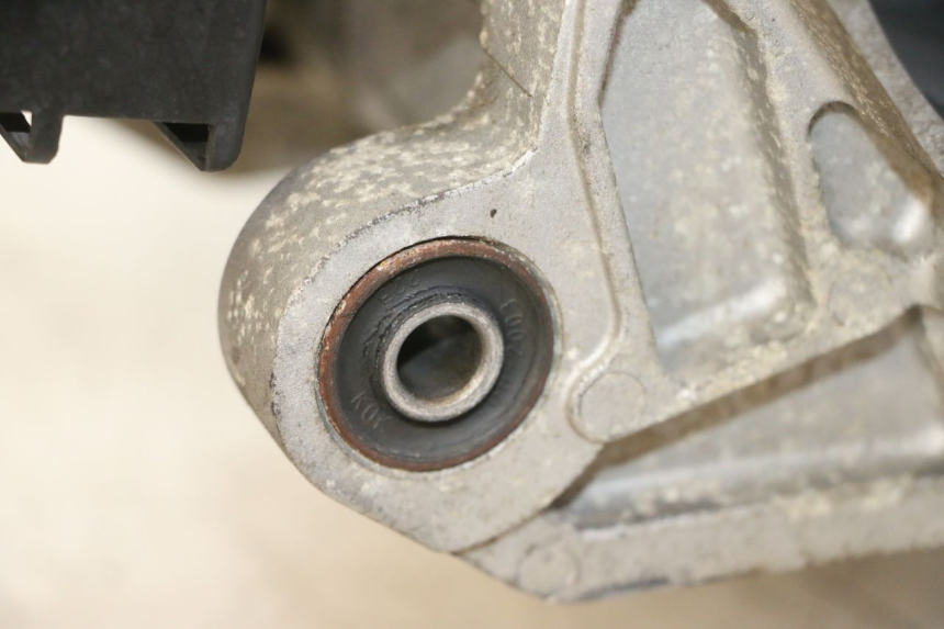 photo de MOTOR PEUGEOT TWEET PRO EFI 4T 50 (2021 - 2022) - Zoom auf Gebrauchszustand