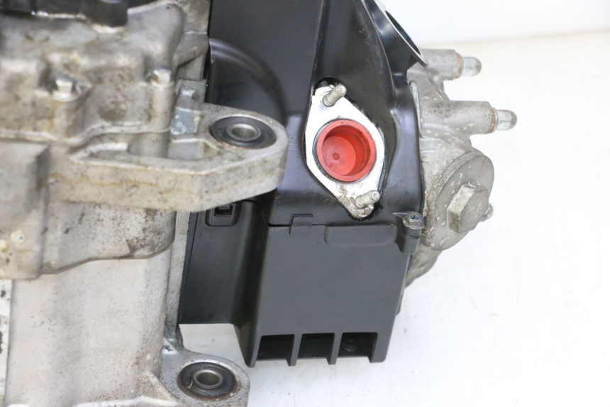 photo de MOTOR PEUGEOT TWEET PRO EFI 4T 50 (2021 - 2022) - Geprüftes Gebrauchtteil