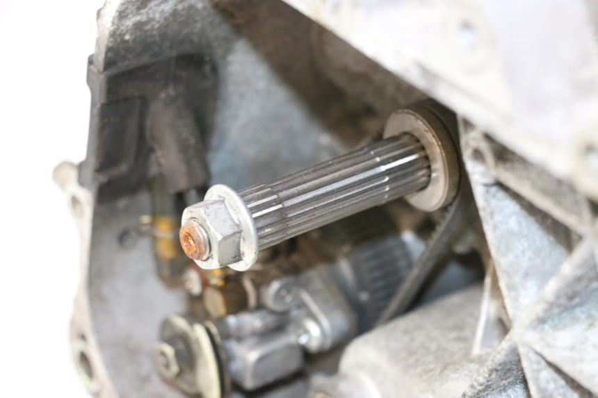 photo de MOTOR PIAGGIO TYPHOON 50 (2000 - 2009) - Detailansicht des Bauteils