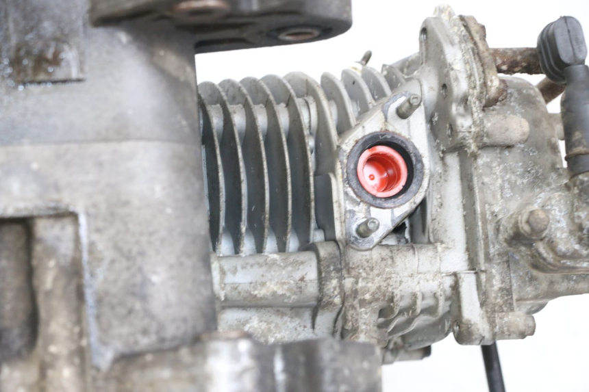 photo de MOTOR BEELINE VELOCE 4T 50 (2011 - 2020) - Detailansicht des Bauteils