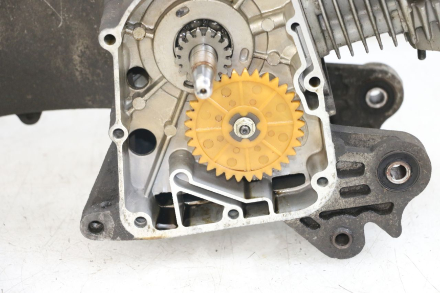 photo de MOTOR BEELINE VELOCE 4T 50 (2011 - 2020) - Oberflächenzustand und Material