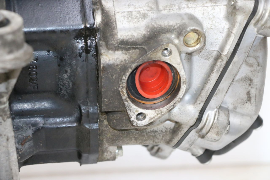 photo de MOTOR PIAGGIO VESPA GTS SUPER IE 125 (2009 - 2016) - Zoom auf Gebrauchszustand