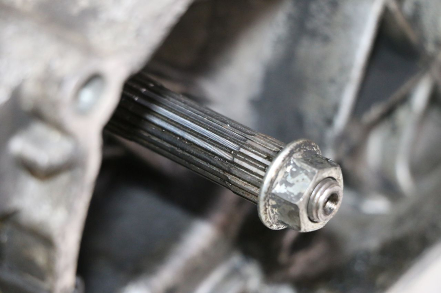 photo de MOTOR PIAGGIO VESPA S 2T 50 (2007 - 2014) - Fokus auf die Struktur