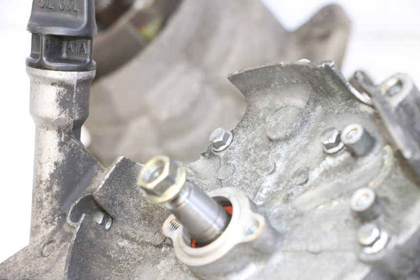 photo de MOTOR PEUGEOT VIVACITY NEW 4T 50 (2008 - 2017) - Zoom auf Gebrauchszustand