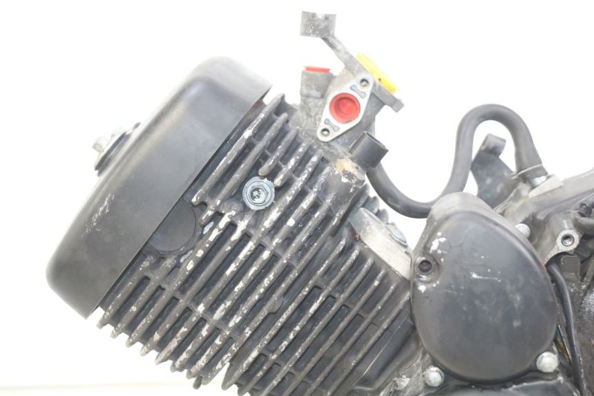 photo de MOTOR DAELIM VL DAYSTAR 125 (2000 - 2011) - Ergänzendes Produktfoto