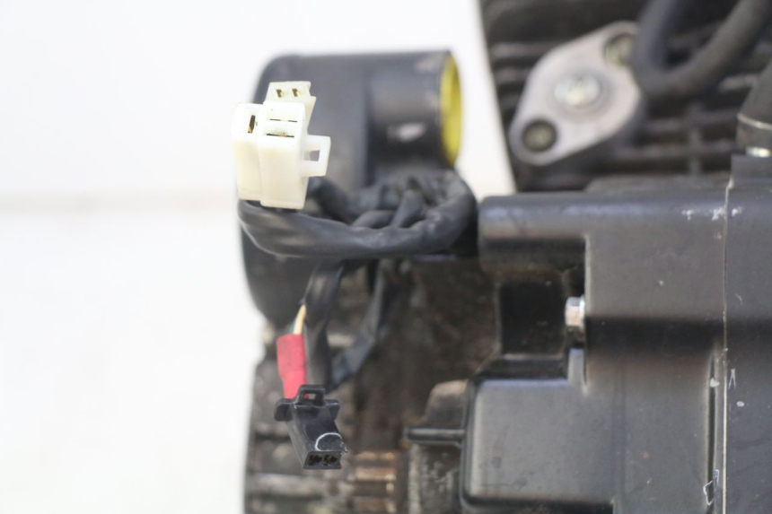 photo de MOTOR DAELIM VL DAYSTAR 125 (2000 - 2011) - Geprüftes Gebrauchtteil