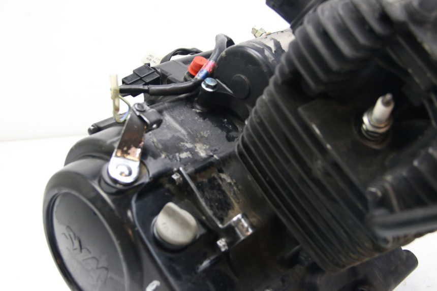 photo de MOTOR SYM WOLF SB 125 (2011 - 2018) - Zoom auf Komponenten