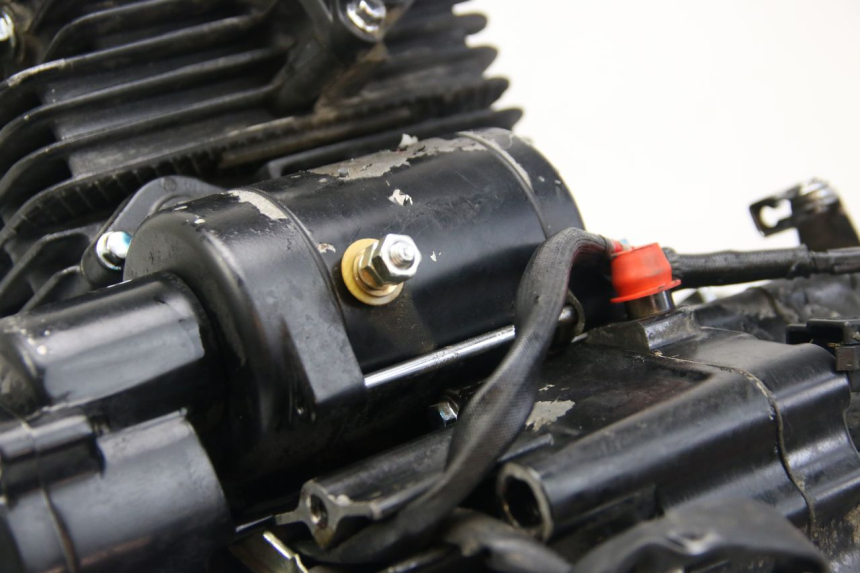 photo de MOTOR SYM WOLF SB 125 (2011 - 2018) - Hochauflösende Nahaufnahme