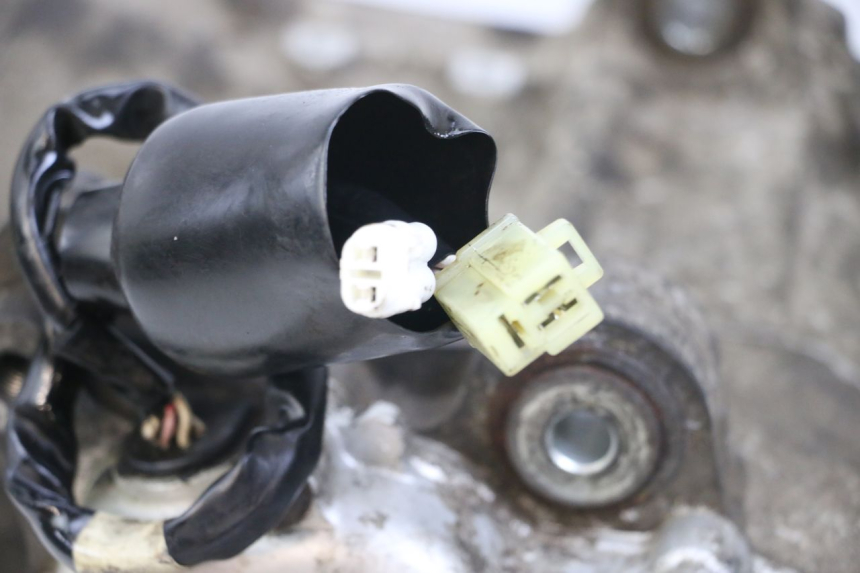 photo de MOTOR YAMAHA X-MAX XMAX 250 (2006 - 2009) - Oberflächenzustand und Material