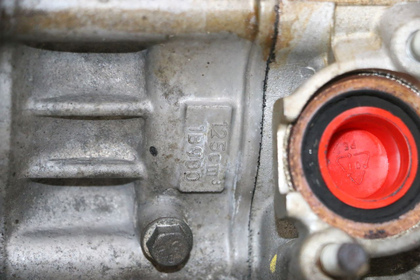 photo de MOTOR YAMAHA XMAX X-MAX 125 (2006 - 2009) - Detailansicht des Bauteils