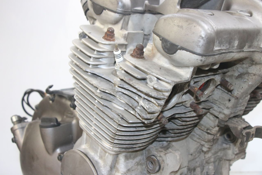 photo de MOTOR YAMAHA XJN DIVERSION 600 (2000 - 2003) - Alternative Perspektive