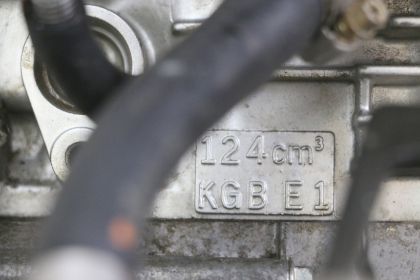 photo de MOTOR HONDA XLV VARADERO 125 (2000 - 2006) - Profilansicht des Ersatzteils