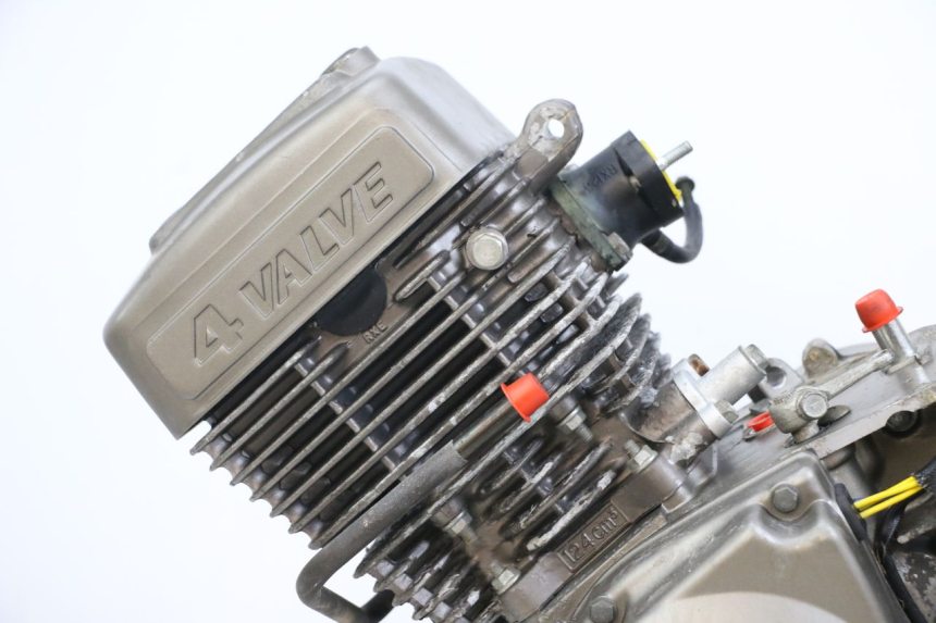 photo de MOTOR HYOSUNG XRX 125 (2000 - 2008) - Detaillierte Sichtprüfung