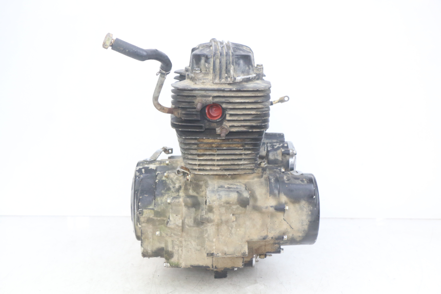 photo de MOTOR SHINERAY XY250 STXE 250 (2006 - 2012) - Weitere Ansicht des Artikels