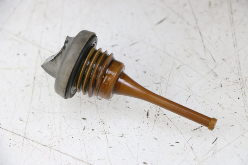 photo de MOTOR YAMAHA X-MAX XMAX ABS 250 (2010 - 2014) - Zoom auf Gebrauchszustand