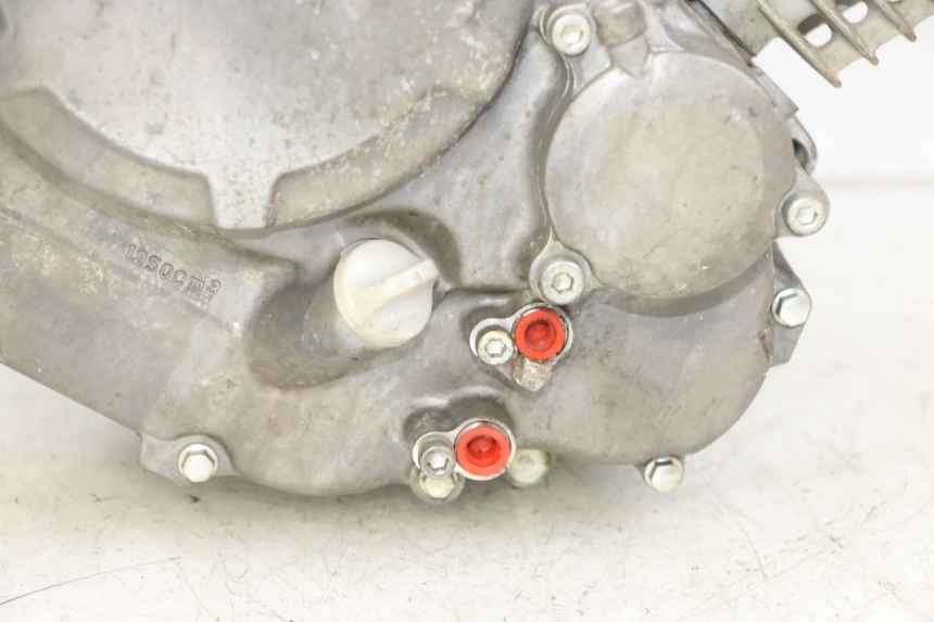 photo de MOTOR YAMAHA YFM R RAPTOR 250 (2008 - 2014) - Weitere Ansicht des Artikels