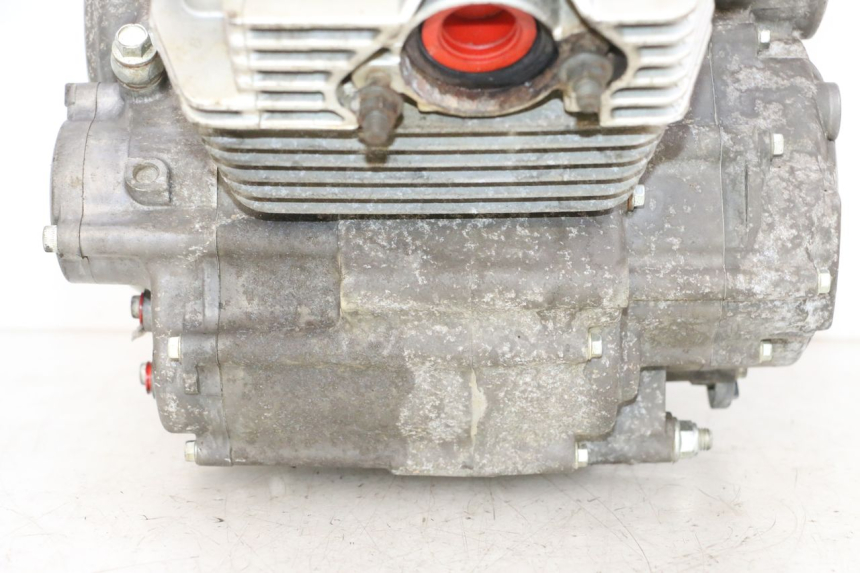 photo de MOTOR YAMAHA YFM R RAPTOR 250 (2008 - 2014) - Ergänzendes Produktfoto