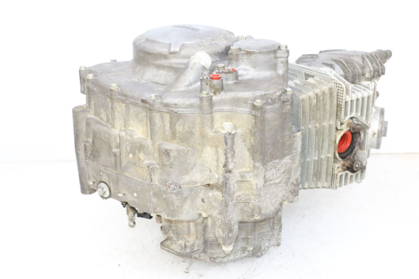 photo de MOTOR YAMAHA YFM R RAPTOR 250 (2008 - 2014) - Alternative Perspektive