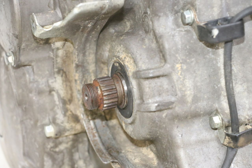 photo de MOTOR YAMAHA YFM R RAPTOR 250 (2008 - 2014) - Technische Nahaufnahme