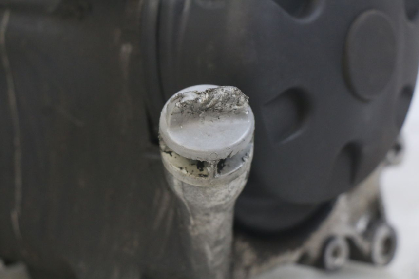 photo de MOTOR YAMAHA YP MAJESTY 125 (2007 - 2010) - Gesamtansicht des Produkts