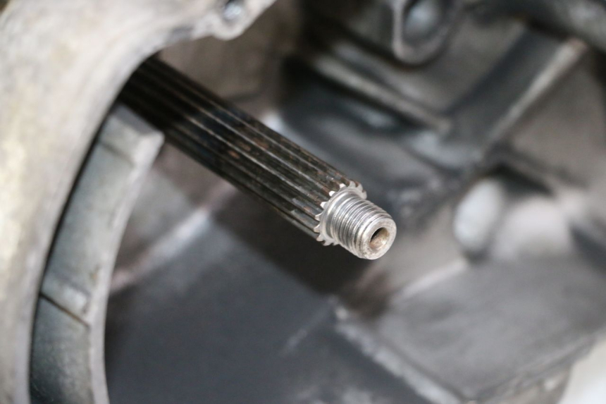 photo de MOTOR YAMAHA YP MAJESTY 125 (2002 - 2006) - Detaillierte Sichtprüfung