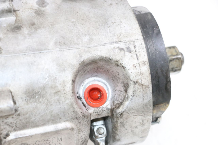 photo de MOTOR PIAGGIO ZIP 2T 50 (2009 - 2019) - Technische Nahaufnahme