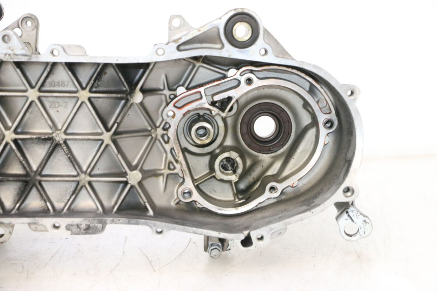 photo de MOTOR PIAGGIO ZIP 2T 50 (2009 - 2019) - Hochauflösende Nahaufnahme