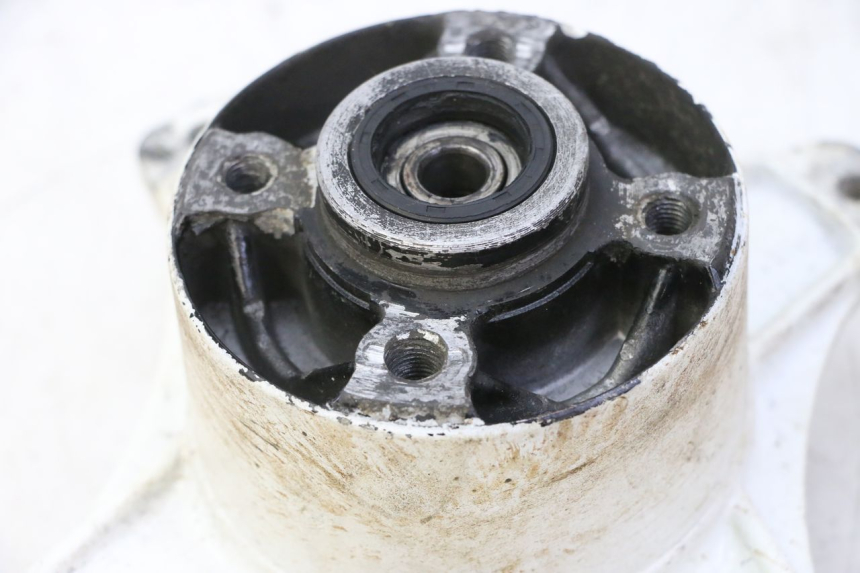 photo de RADNABE HINTER SKYTEAM DAX REPLICA 110 (2005 - 2015) - Zoom auf Gebrauchszustand