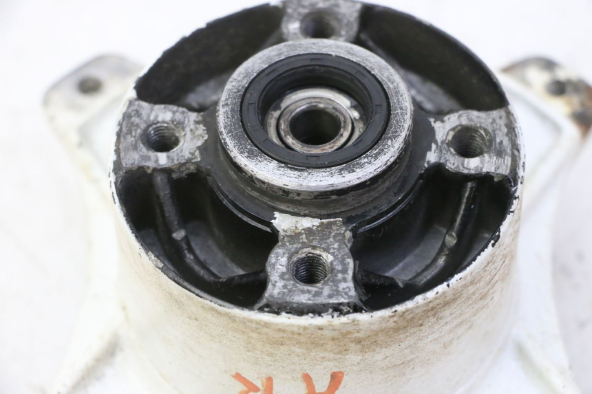 photo de RADNABE HINTER SKYTEAM DAX REPLICA 110 (2005 - 2015) - Alternative Perspektive