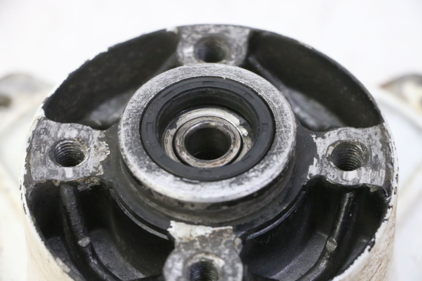 photo de RADNABE HINTER SKYTEAM DAX REPLICA 110 (2005 - 2015) - Technische Nahaufnahme