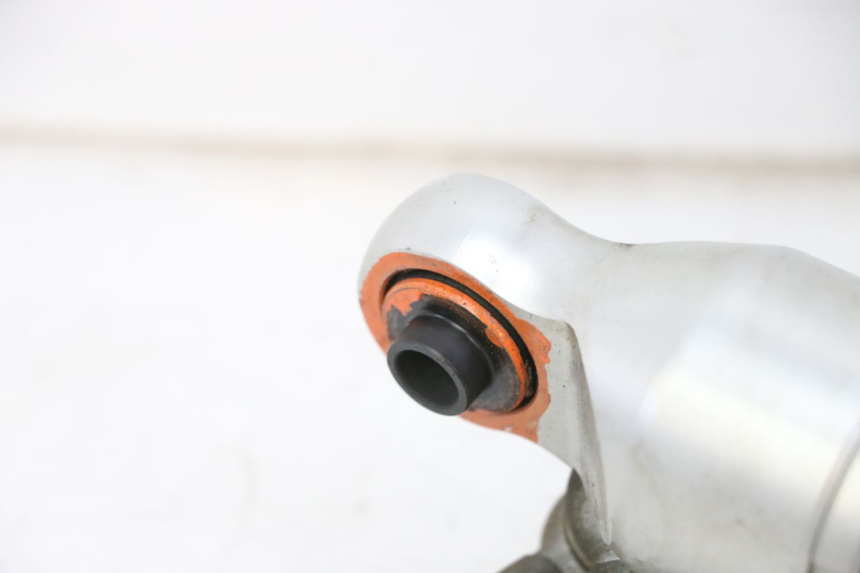 photo de HINTERE DÄMPFERPAAR QUADRO 4 4D 350 (2015 - 2018) - Technische Nahaufnahme