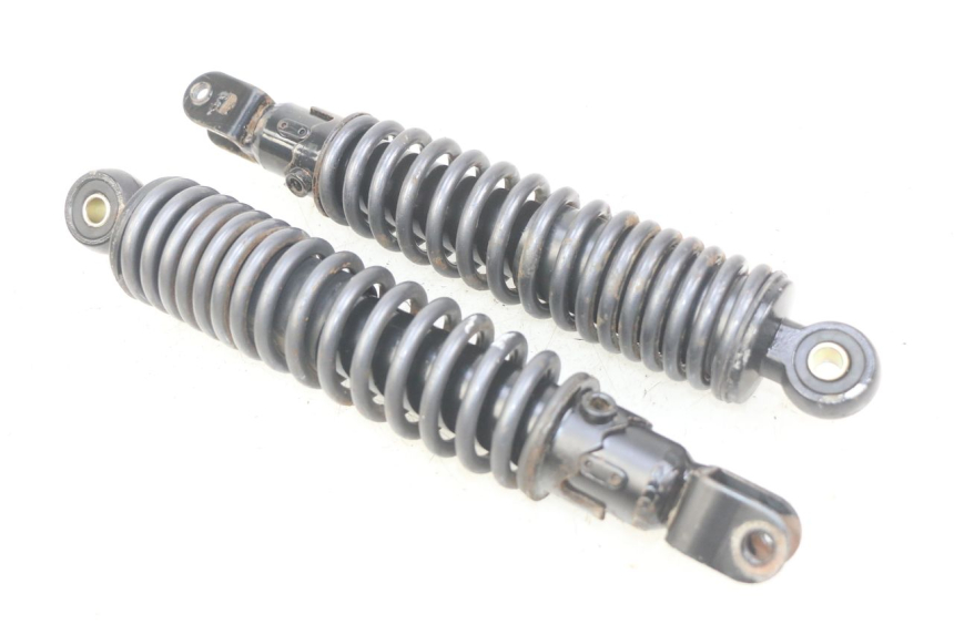 photo de HINTERE STOSSDÄMPFERPAAR ECCITY ARTELEC 670 1 (2013 - 2017) - Hauptansicht