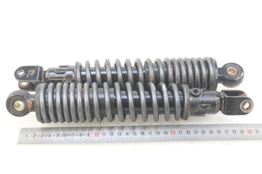 photo de HINTERE STOSSDÄMPFERPAAR ECCITY ARTELEC 670 1 (2013 - 2017) - Zoom auf Gebrauchszustand