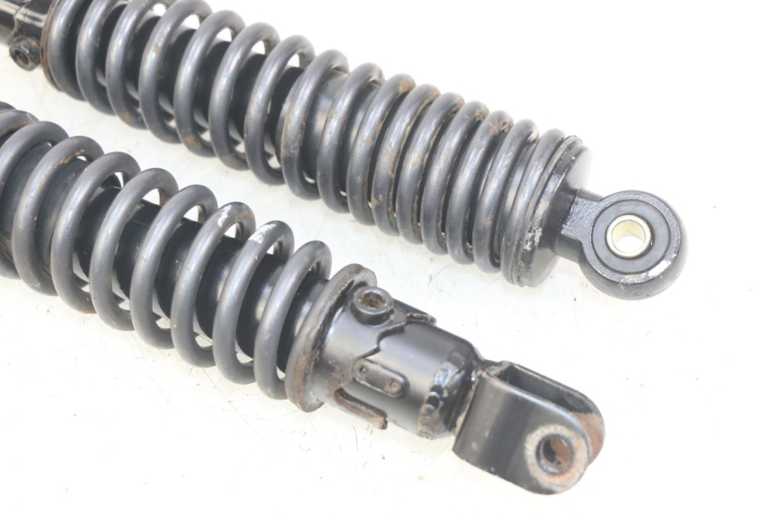 photo de HINTERE STOSSDÄMPFERPAAR ECCITY ARTELEC 670 1 (2013 - 2017) - Technische Nahaufnahme