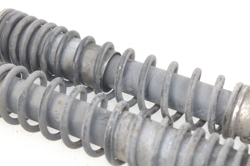 photo de HINTERE STOSSDÄMPFERPAAR SUZUKI BURGMAN 125 (2007 - 2014) - Gesamtansicht des Produkts