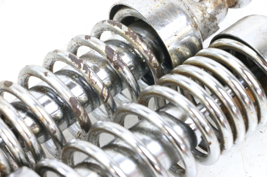 photo de PAAR FEDERBEIN  APRILIA CLASSIC 125 (1995 - 2001) - Charakteristische Merkmale