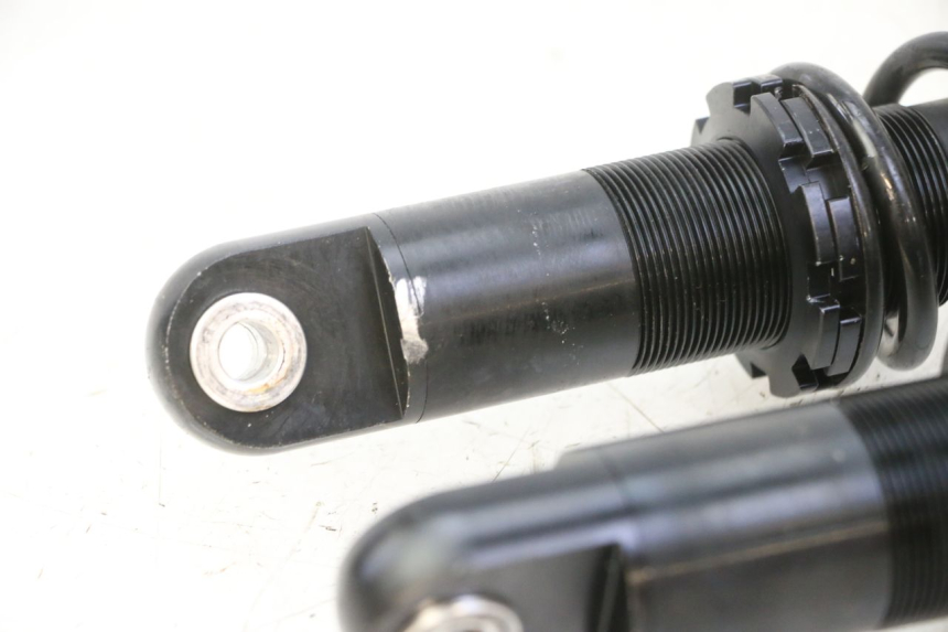 photo de PAAR FEDERBEIN SKYTEAM DAX REPLICA 110 (2005 - 2015) - Zoom auf Komponenten