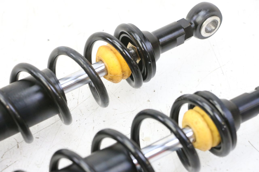 photo de PAAR FEDERBEIN SKYTEAM DAX REPLICA 110 (2005 - 2015) - Kennzeichnungen und Originalreferenzen