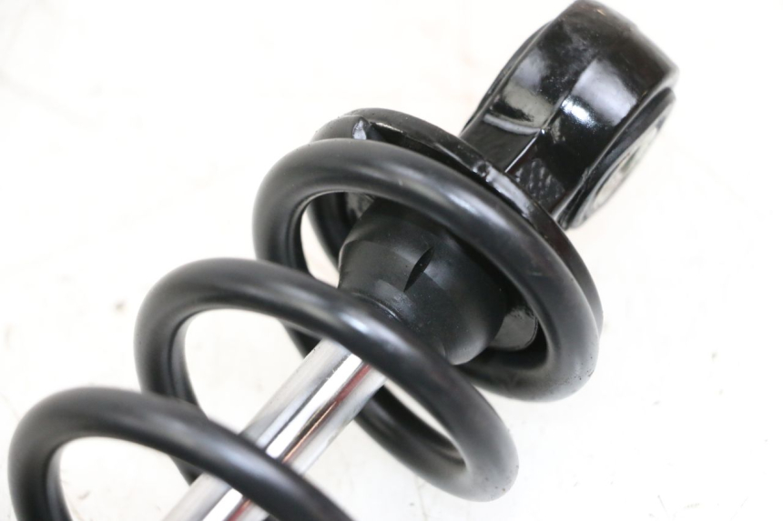 photo de PAAR FEDERBEIN WAYSCRAL E-START 1 (2018 - 2022) - Alternative Perspektive