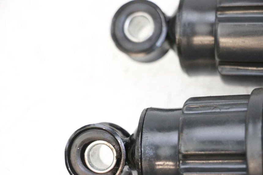 photo de PAAR FEDERBEIN WAYSCRAL E-START 1 (2018 - 2022) - Details der Befestigungspunkte