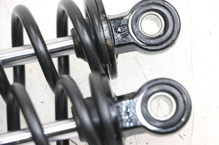 photo de PAAR FEDERBEIN WAYSCRAL E-START 1 (2018 - 2022) - Oberflächenzustand und Material