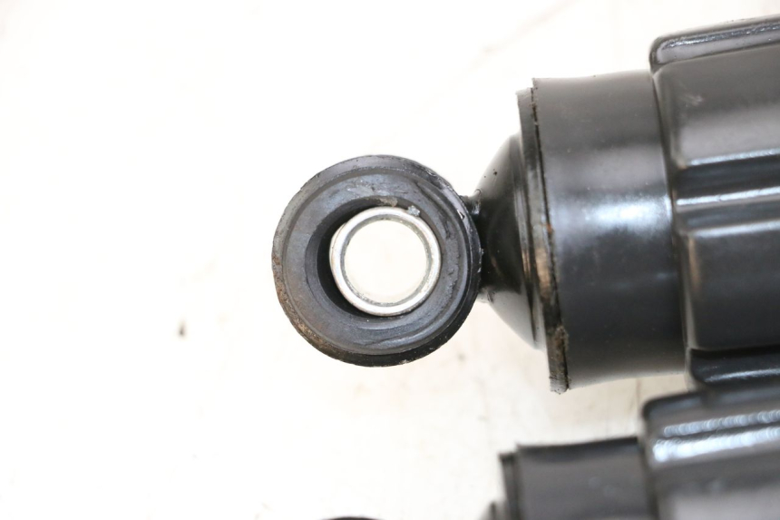 photo de PAAR FEDERBEIN WAYSCRAL E-START 1 (2018 - 2022) - Kennzeichnungen und Originalreferenzen