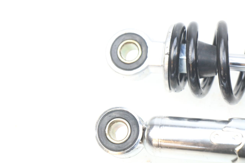 photo de PAAR FEDERBEIN  EFUN E2GO 1 (2017 - 2021) - Alternative Perspektive