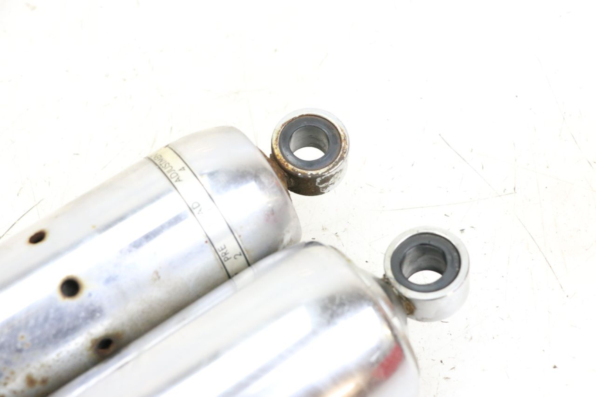 photo de PAAR FEDERBEIN HONDA VT C2 SHADOW 750 (1997 - 2001) - Gesamtansicht des Produkts