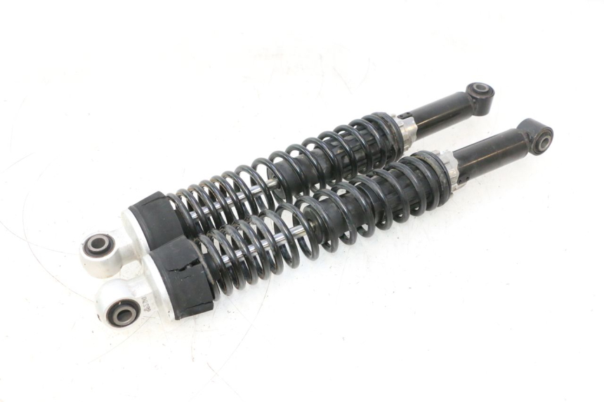 photo de PAAR FEDERBEIN  PIAGGIO MP3 500 (2011 - 2015) - Hauptansicht