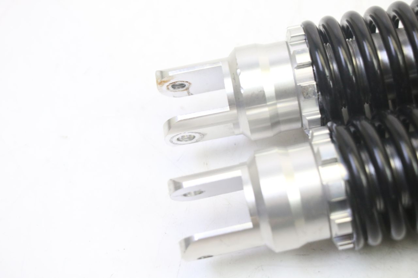 photo de PAAR FEDERBEIN EFUN PUSA 1 - Alternative Perspektive