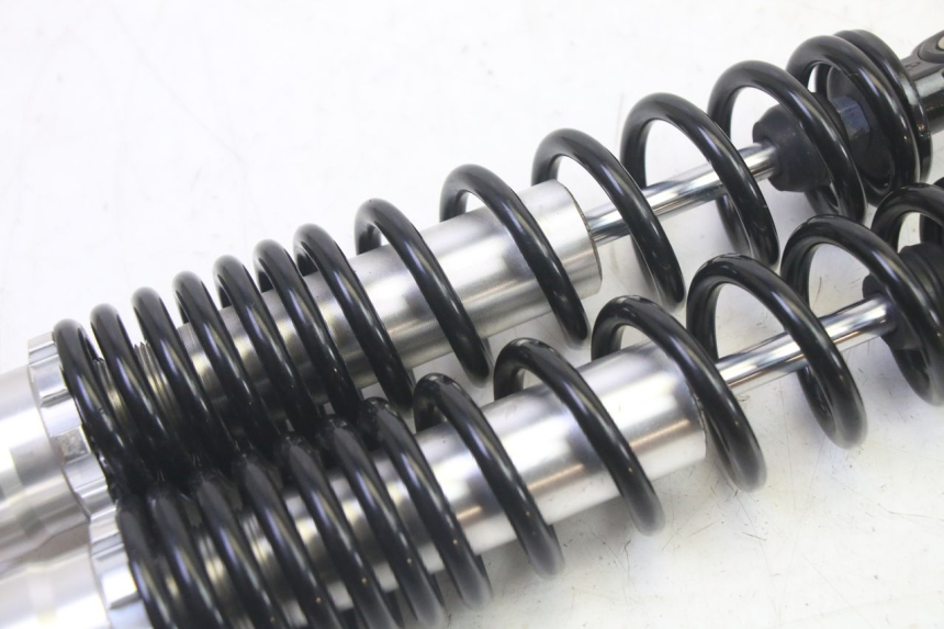 photo de PAAR FEDERBEIN EFUN PUSA 1 - Technische Nahaufnahme