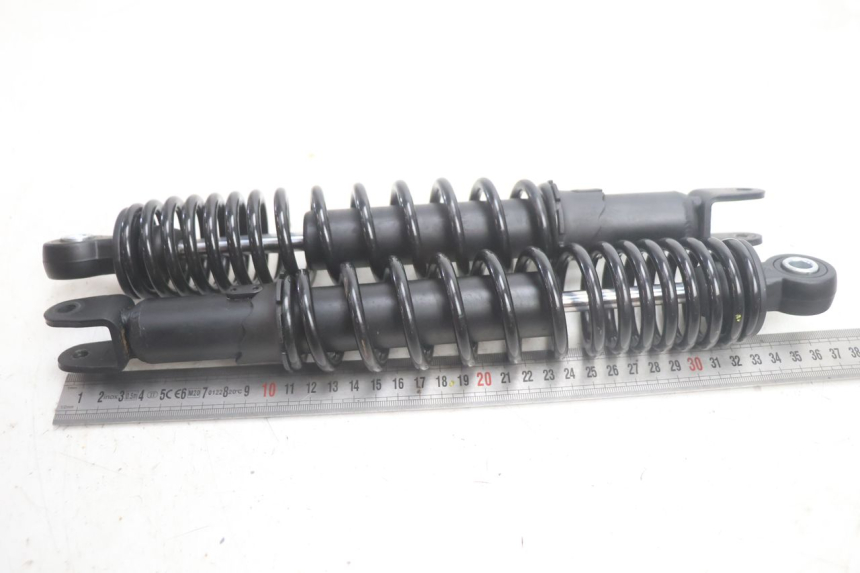 photo de PAAR FEDERBEIN JM MOTORS R-MAX TECH 50 (2024 - 2026) - Zoom auf Komponenten
