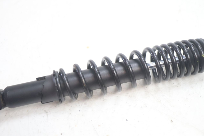 photo de PAAR FEDERBEIN JM MOTORS R-MAX TECH 50 (2024 - 2026) - Alternative Perspektive