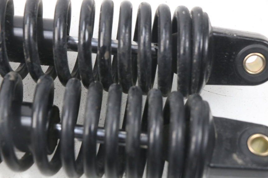 photo de HINTERE STOSSDÄMPFERPAAR RED ELECTRIC RED E PRO 1 (2017 - 2019) - Technische Nahaufnahme